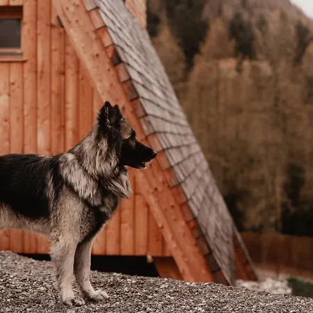 Collis Hill & 公寓 *