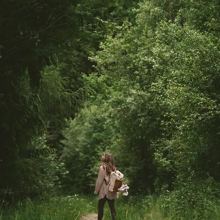 Collis Hill & 公寓