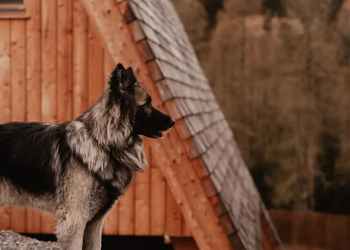 Collis Hill & شقة *