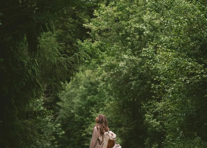 Collis Hill & شقة